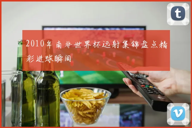 2010年南非世界杯远射集锦盘点精彩进球瞬间