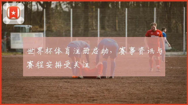 世界杯体育注册启动,赛事资讯与赛程安排受关注